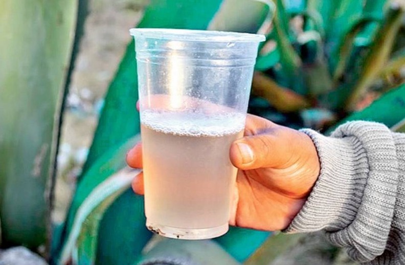 Bebidas en Morelos